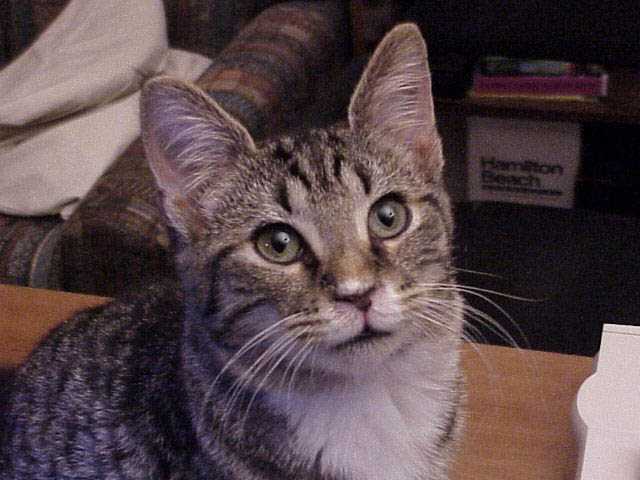 Logan